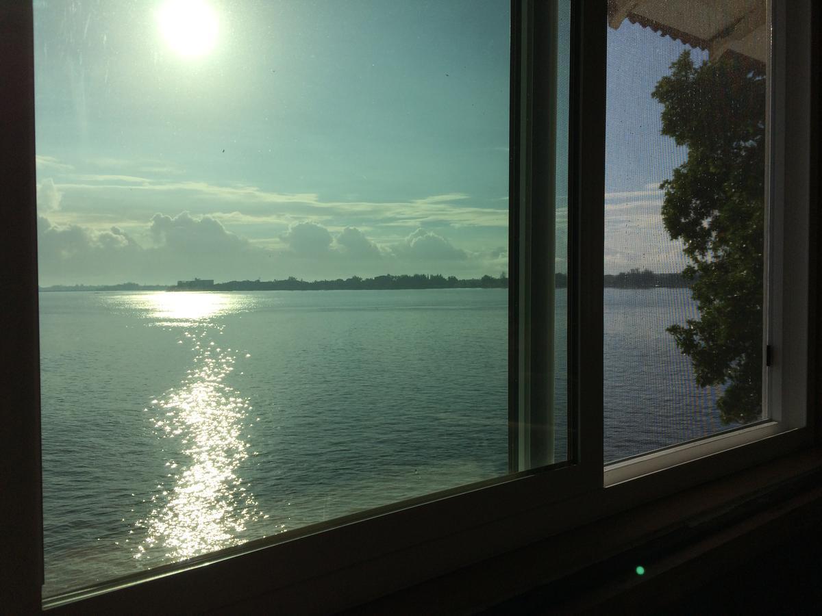 Hilo Bay Oceanfront Bed And Breakfast Exterior photo